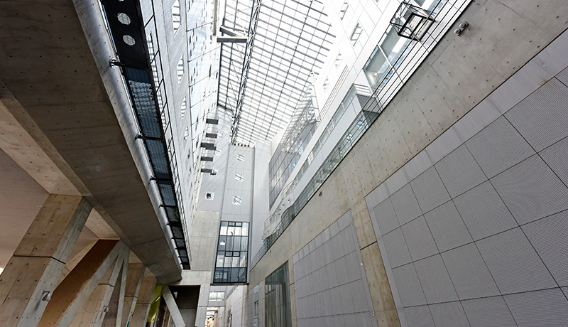 搜狐体育nba会员注册 そんな奴は明らかに戦場の生きた標的だ